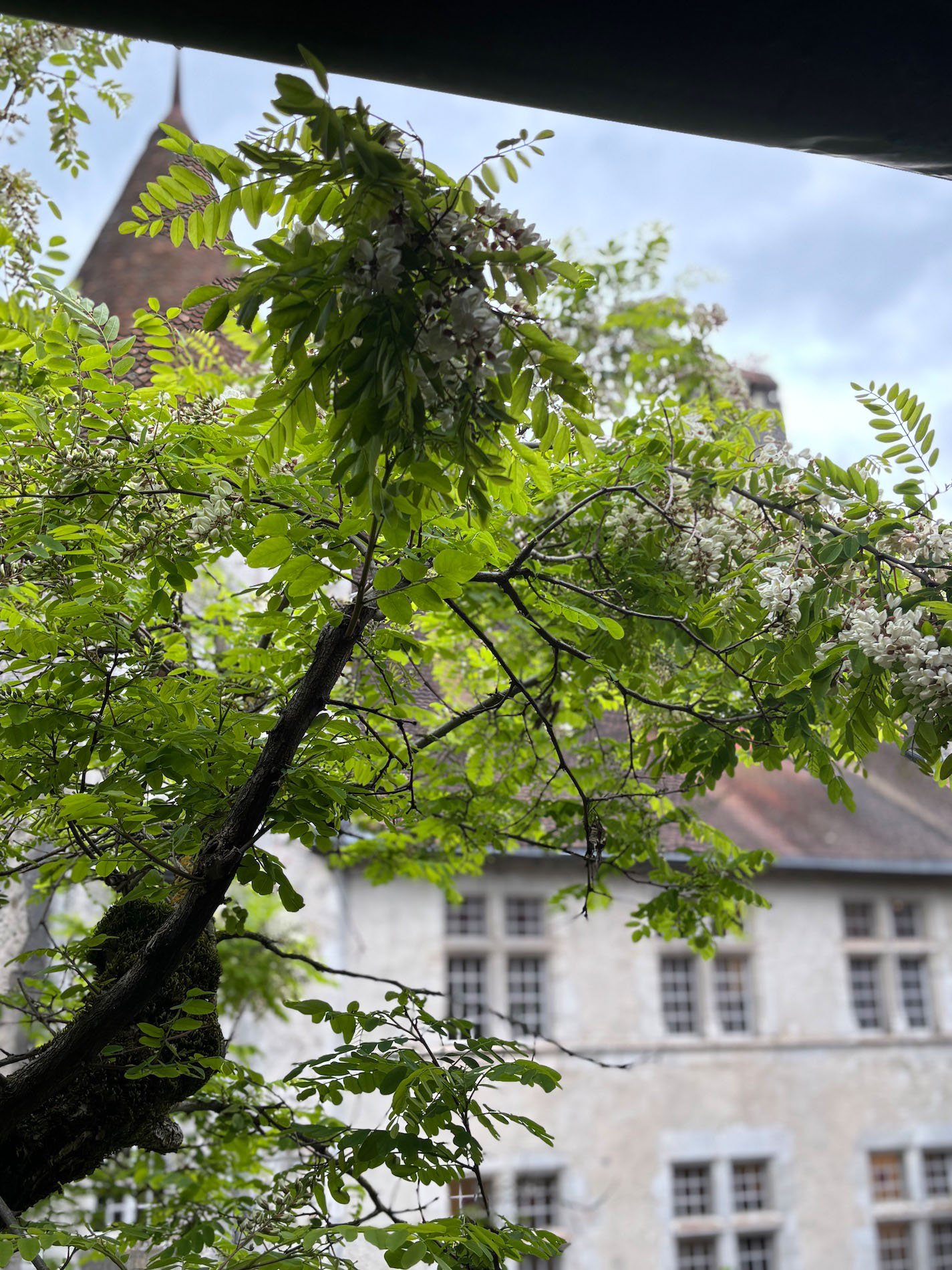 Medievel village 163